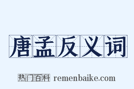 唐孟反义词是什么意思的图片